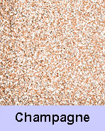 Champagne Glitter